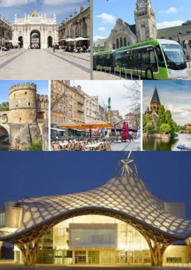 Le Muse Quartier Ville Proche Transport Parking Prive Un-Sejour-A-Part Мец Экстерьер фото